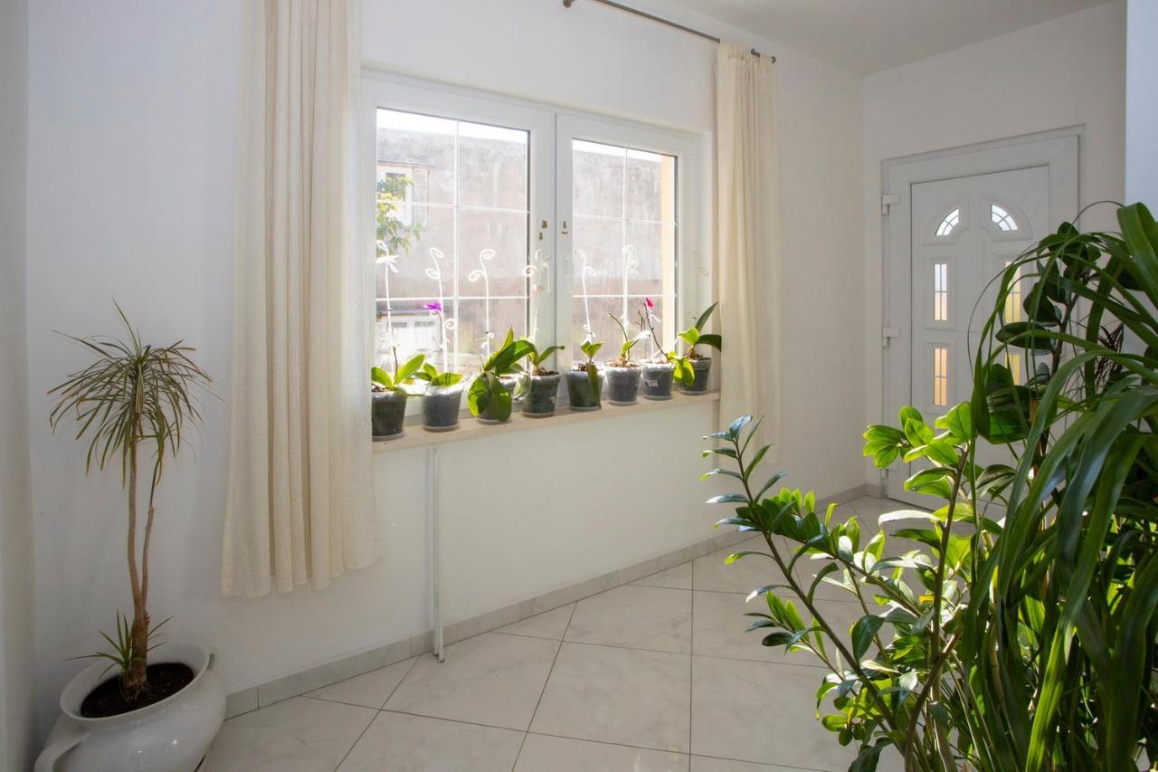 Villa Milenka - Apartmani Gorana Tučepi Kültér fotó